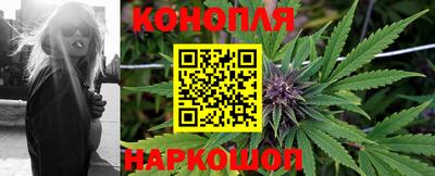 МДПВ Донецк