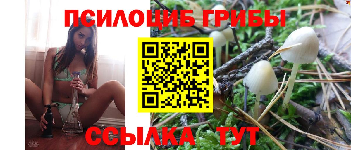 Галлюциногенные грибы Cubensis Джанкой