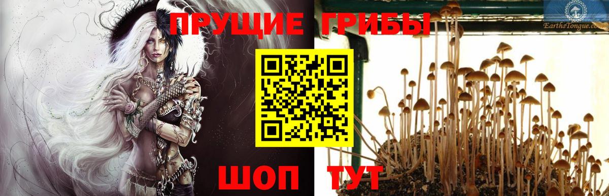 Галлюциногенные грибы GOLDEN TEACHER  Псилоцибиновые грибы MAGIC MUSHROOMS  Джанкой  Вход с VPN 